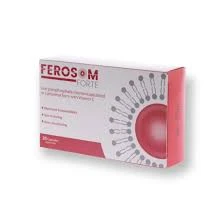 FEROSOM FORTE 20 CAP